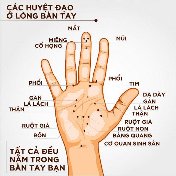 cac-ngon-tay-khi-massage-day-bam-se-co-tac-dung-nhu-the-nao